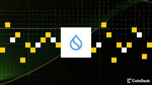 Sui, “Bridge” Platforması Vasitəsilə USDsui Yerli Stabilkoinini Təqdim Etdi Xəbər şəkili