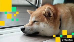 Memecoin DOGE, Əsas Kriptovalyutaları Ötüb Keçdi: Ağ Ev Elon Maskın D.O.G.E. Təşəbbüsünün Ləğv Edildiyini Açıqladı Xəbər şəkili