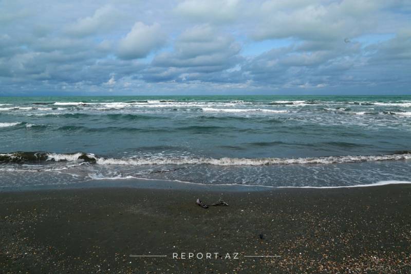 Xəzər dənizindəki ekoloji fəlakətin qarşısının alınması üçün vəsait ayrılması təklif olunur