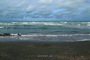 Xəzər dənizindəki ekoloji fəlakətin qarşısının alınması üçün vəsait ayrılması təklif olunur Xəbər şəkili