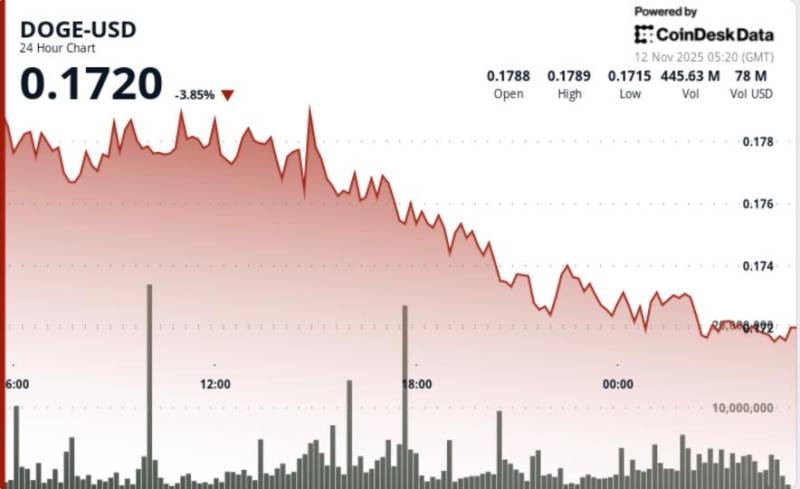 Bitcoinin kəskin enişi: Dogecoin kritik həddə çatdı, əsas altkoinlər 5% dəyər itirdi