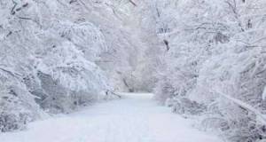 Bu ərazilərə qar yağır - FAKTİKİ HAVA Xəbər şəkili