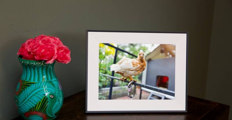 Cyber Monday Fırsətləri: "Verge" Təsdiqli Texnoloji Hədiyyələrə 60%-ə Qədər Endirim Hələ Də Davam Edir