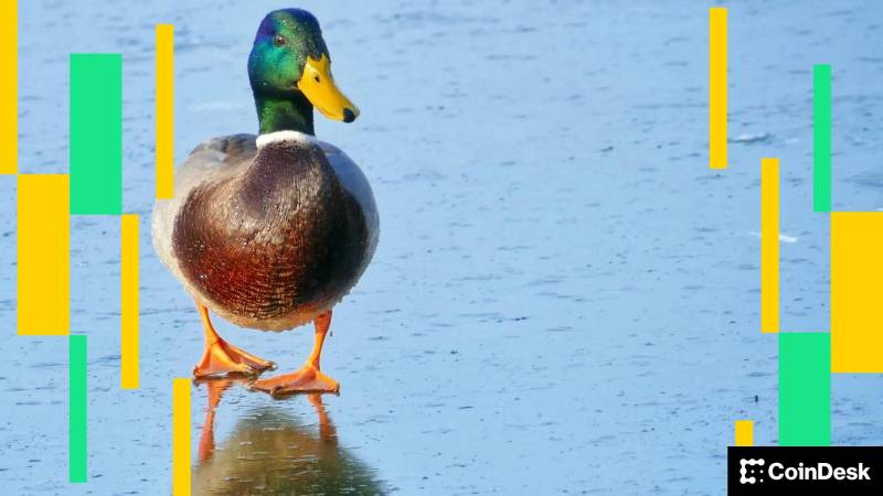 Kriptovalyuta Bazarı Təhlükə Altında: Amerikanın Kripto Xülasəsi