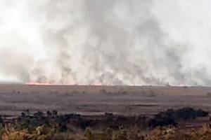 Cəlilabadda ovçuluq təsərrüfatında yanğın söndürülüb - VİDEO - YENİLƏNİB Xəbər şəkili