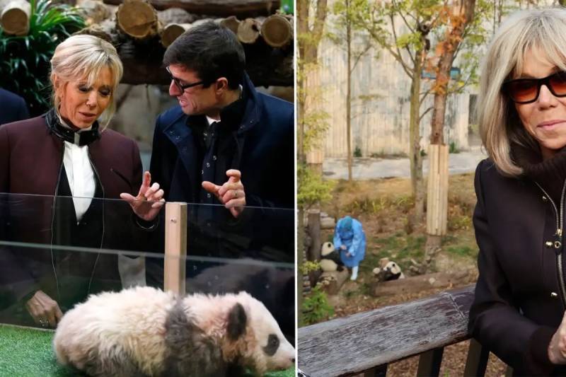 Fransa Birinci Xanımı Brigitte Makron Çin Səfərində Diplomatik Simvol Olan Yuan Menq Pandası ilə Yenidən Görüşdü Xəbər şəkili